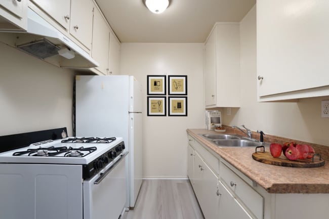 Photo - 530 N Wilson Ave Unit 5