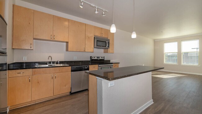 Kitchen and Living Area with Hard Surface Flooring