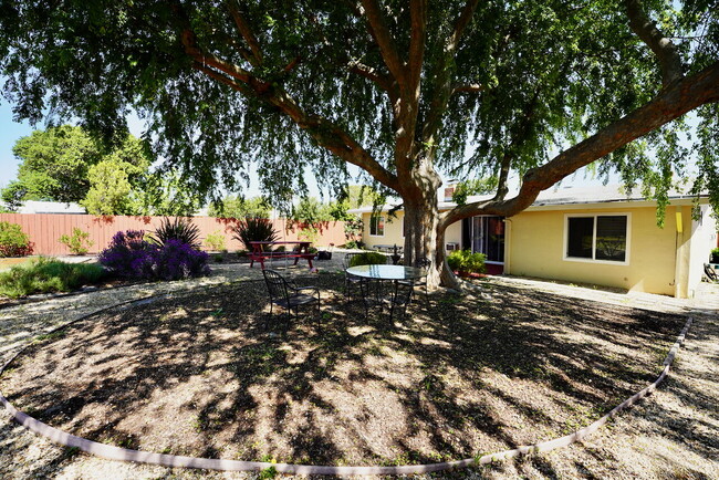 Photo - 4 Bed, 2 Bath Home with Spacious Park-Like...