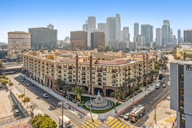 Downtown LA Views