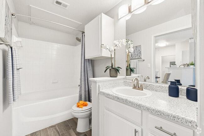 1BR, 1BA - 615SF - Bathroom