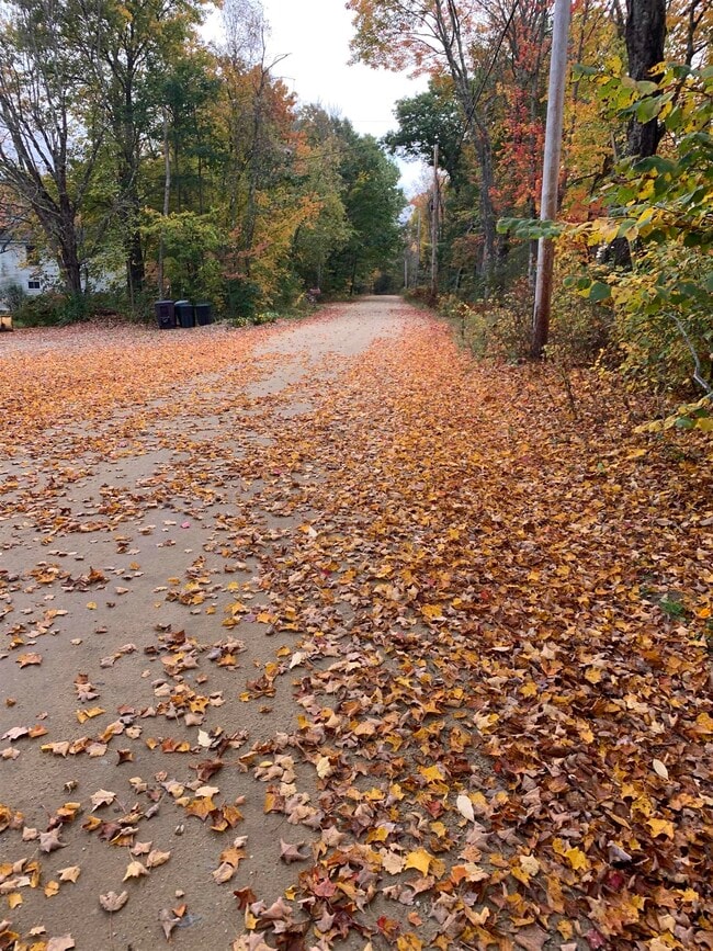 Photo - 293 Bear Hill Rd