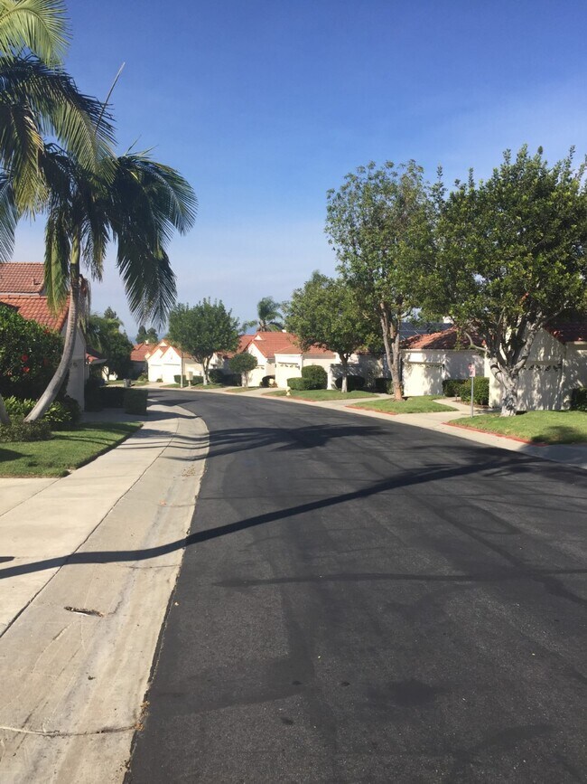 Single street in subdivision - 15928 Caminito Aire Puro