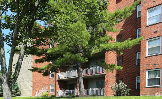 Wynbrook