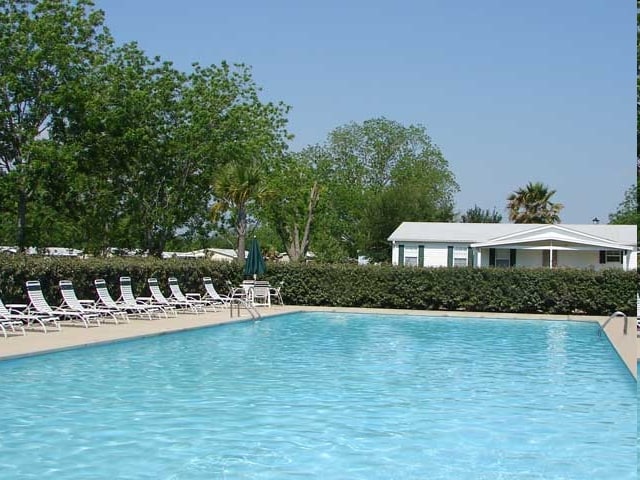 Pool - The Grove