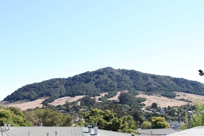 Photo - 491 N Chorro St