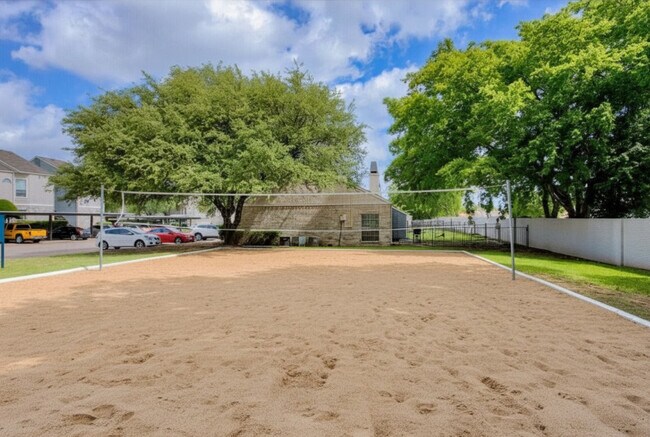 Volleyball Court