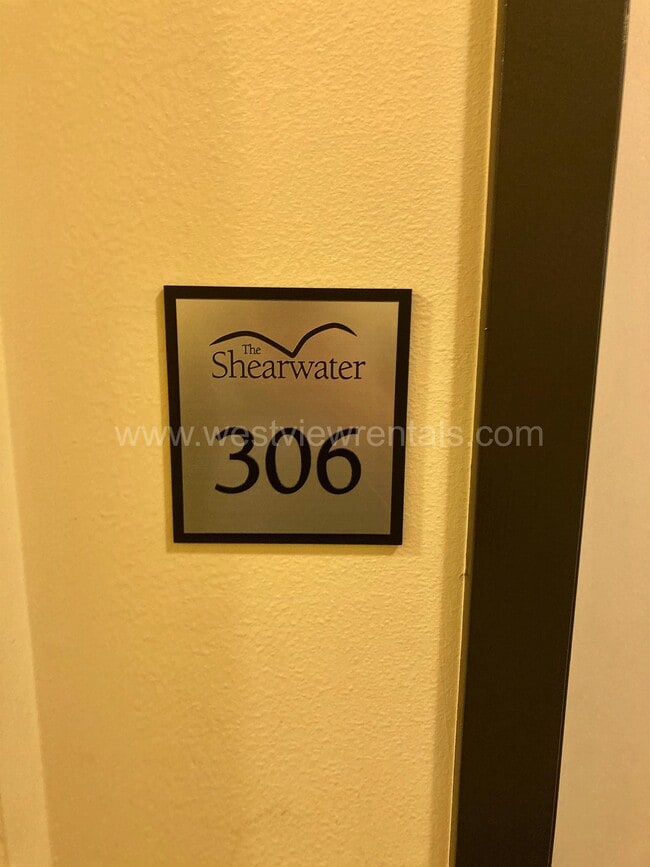 Photo - Shearwater
