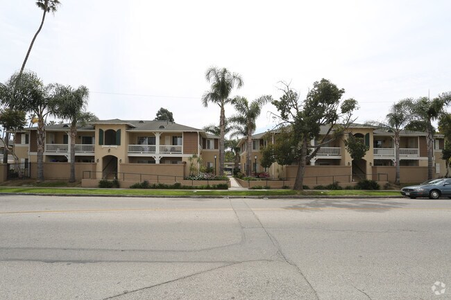 Palm Terrace