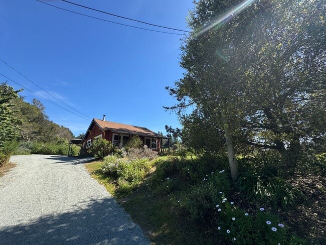 Photo - Peaceful Country Living