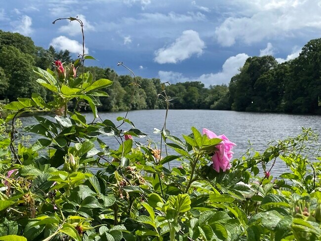 Photo - 108 Dexter Rd