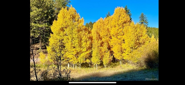 Photo - 12191 Tecumseh Trl Unit Furnished Studio Apt