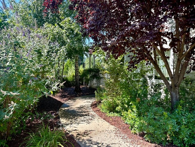 Photo - 215 Unidad 1