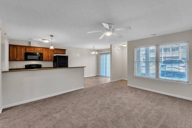 Photo - Autumn Woods