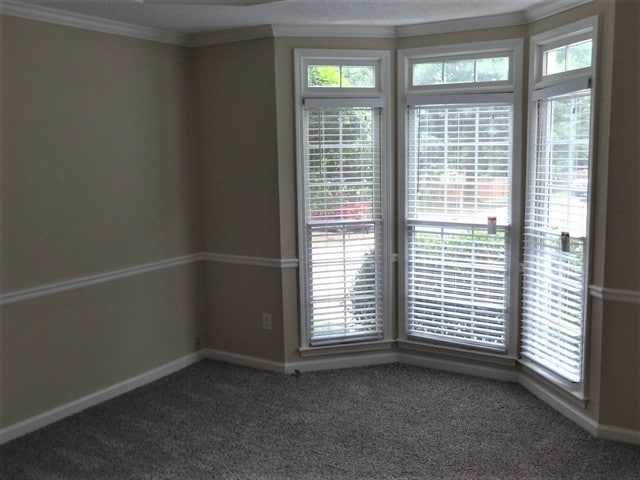 Photo - 1501 Jade Cove Dr