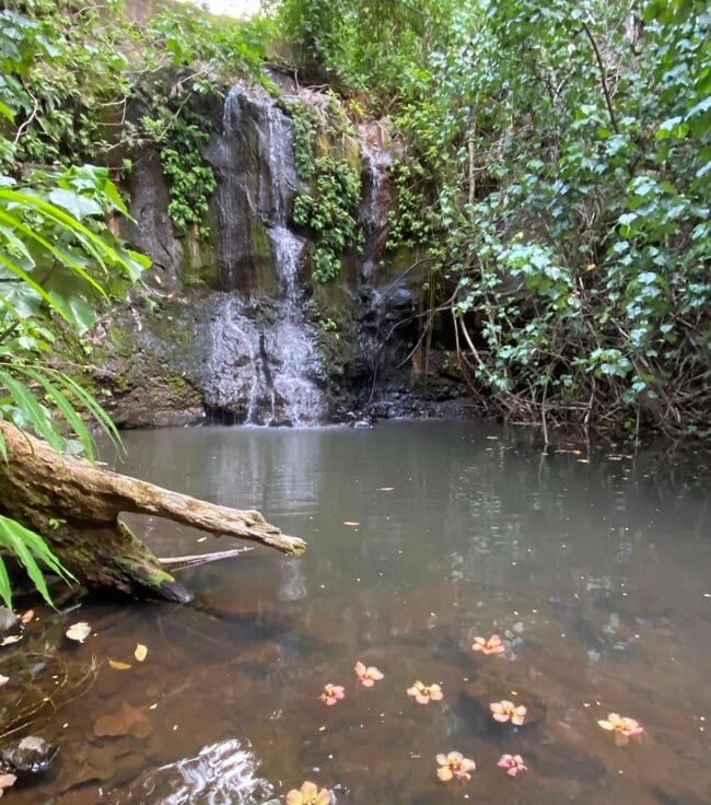 Building Photo - 630 E Kuiaha Rd