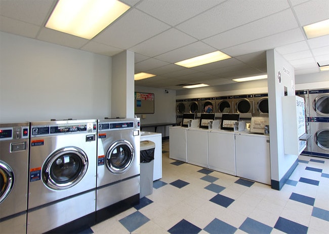 Photo - University Gate