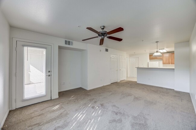 Photo - Sonoma Palms