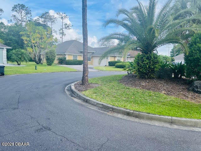 Photo - 4 Lonetree Look