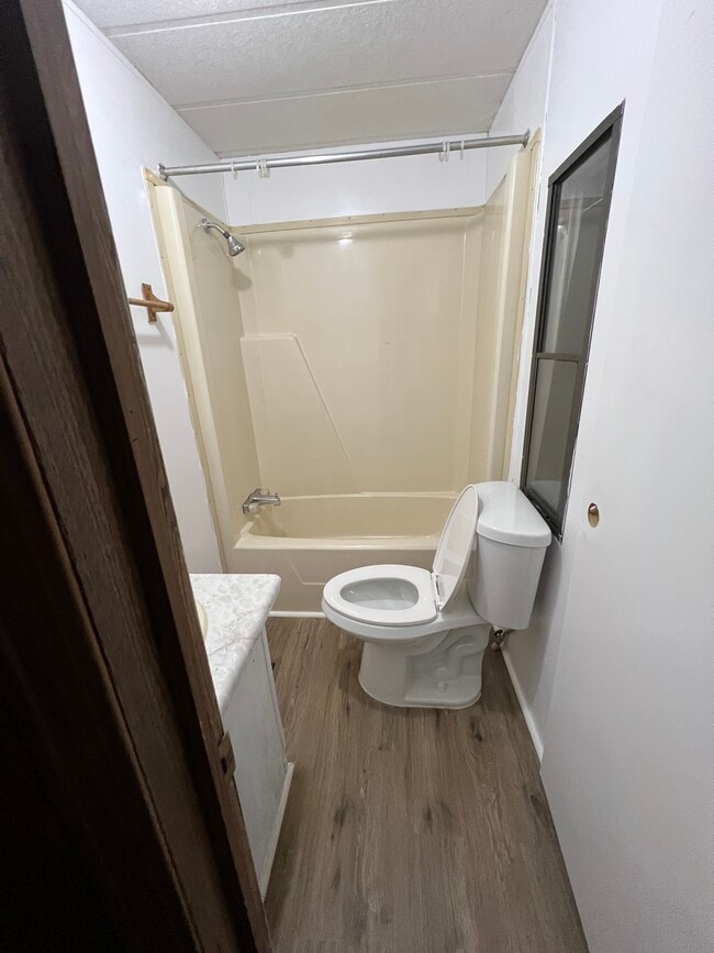 Photo - Magnolia #07