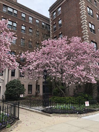 Building Photo - 2003 Commonwealth Ave Unit 16