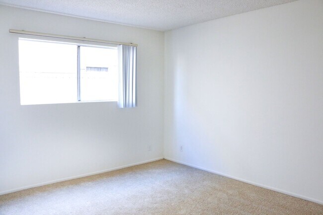 Photo - Huntington Reef