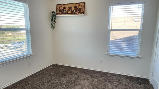 Photo - 402 Parrot Tulip View