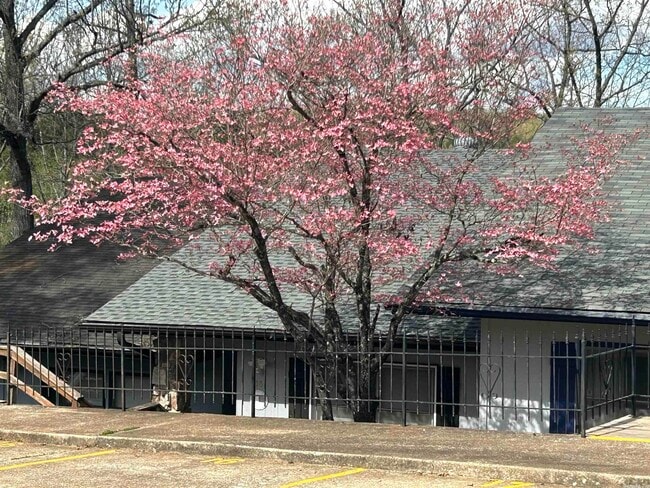 Building Photo - 16 Akokisa Dr