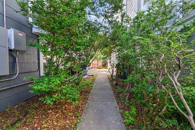 Photo - 3BD/1BA First-Floor Unit in West Oakland Duplex – All Utilities Included | $2,999/mo