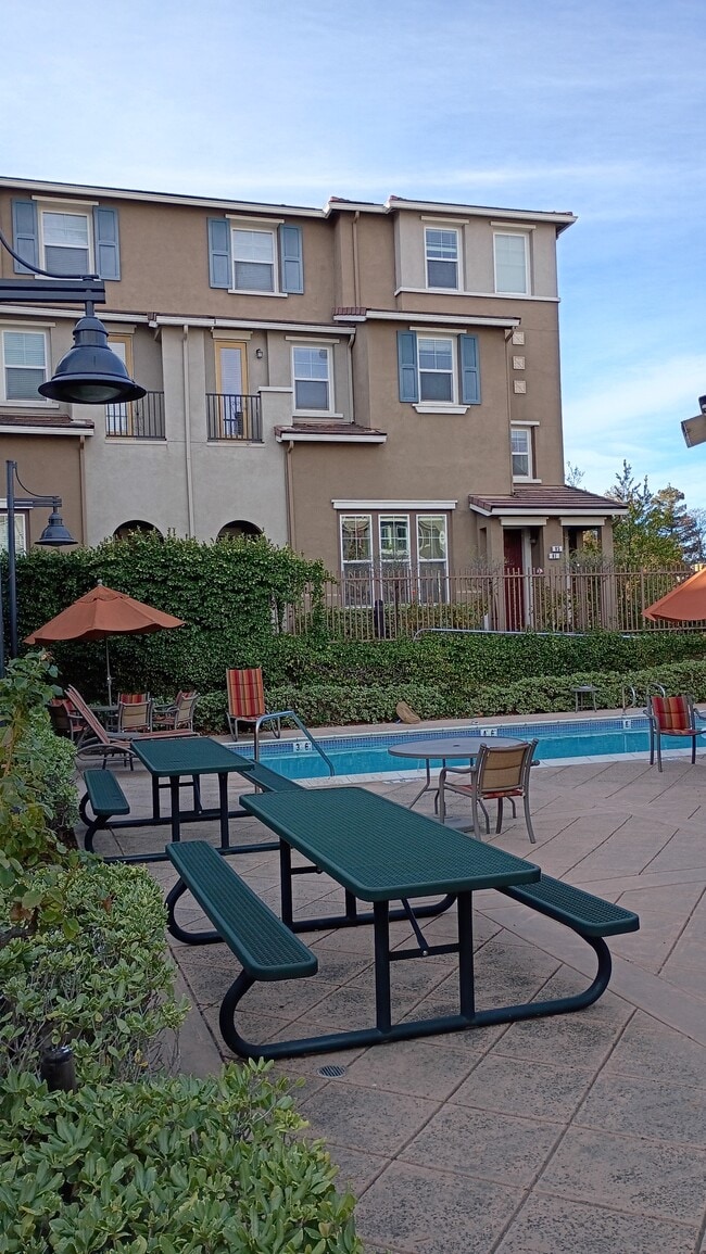 Community pool - 1722 Snell Pl