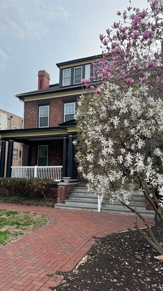 Photo - 724 S Main St Unit 3