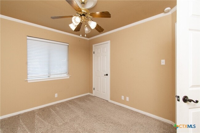 Building Photo - 4819 Box Canyon Dr