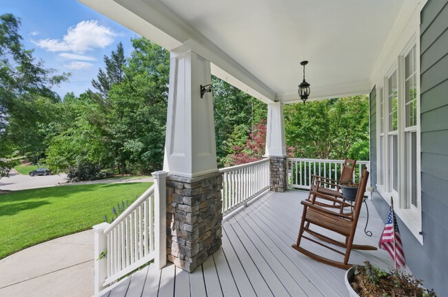 Photo - 10 Brown Bear