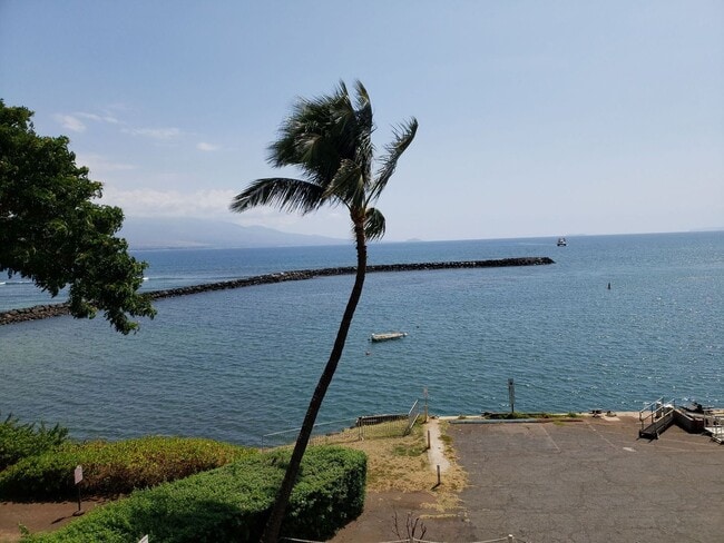 Building Photo - Maalaea Mermaid Unit 311