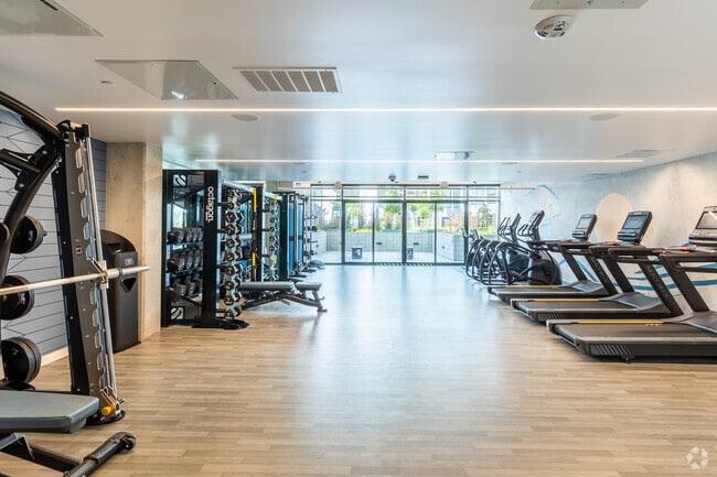 Gimnasio
