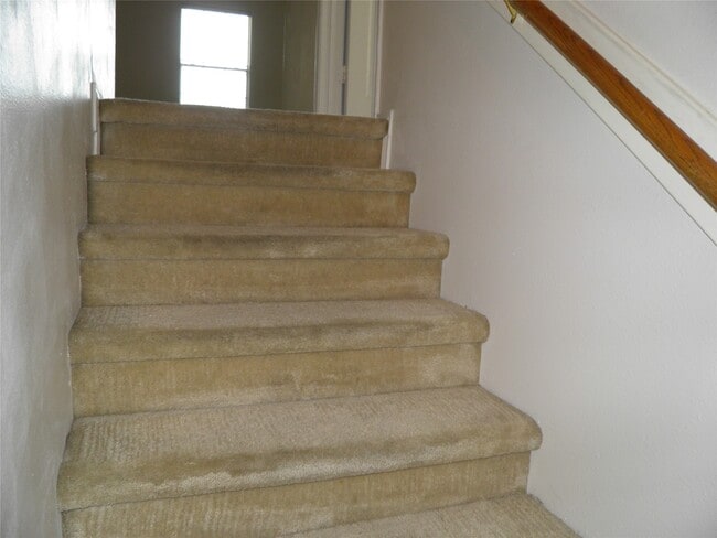 Photo - 2907 Morton Cove Ln