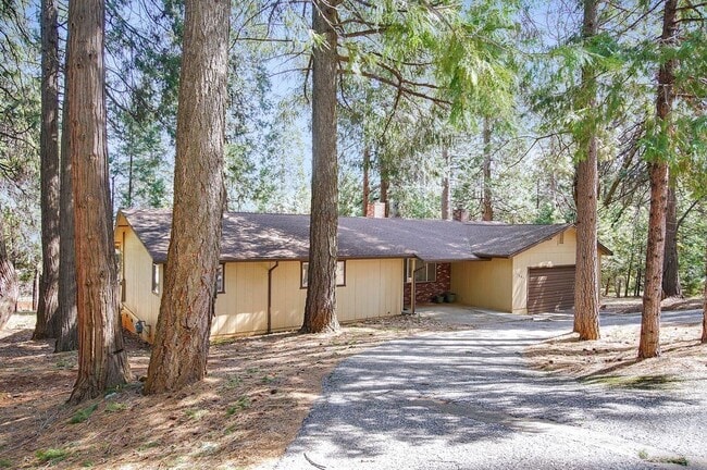 Photo - 11845 Tree Top Cir