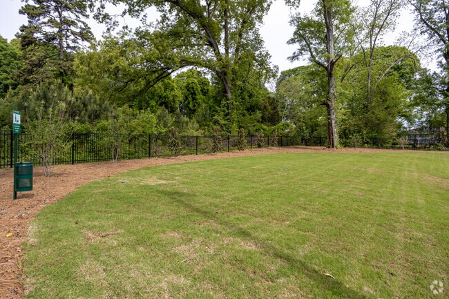 Dog Park