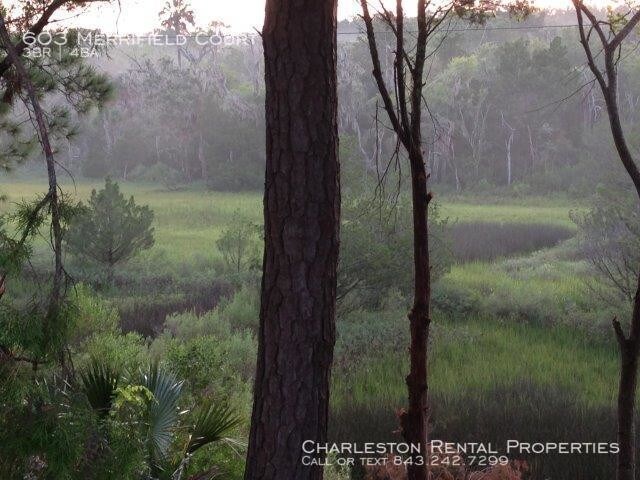 Photo - 603 Merrifield Court