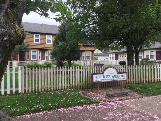 Photo - Maya Angelou