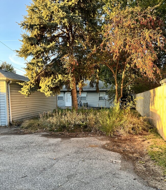 Alley View - 920 Spruce Street