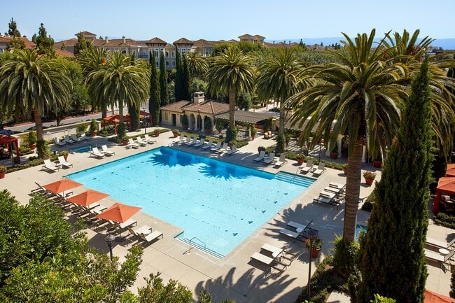 Photo - North Park Apartment Homes