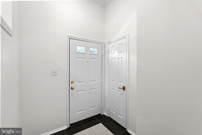 7877 Painted Daisy Dr