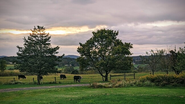 Photo - 206 Green Hill Rd