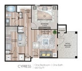 Cypress