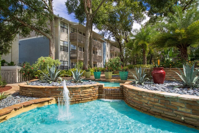 Photo - Stillwater Palms