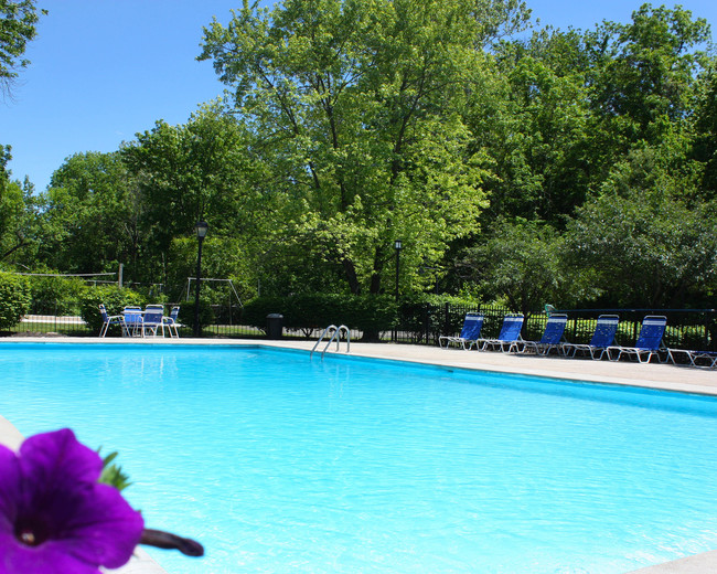 Refreshing Swimming Pool - Timber Ridge Apartments