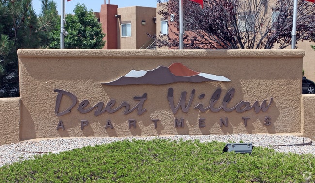 Desert Willow