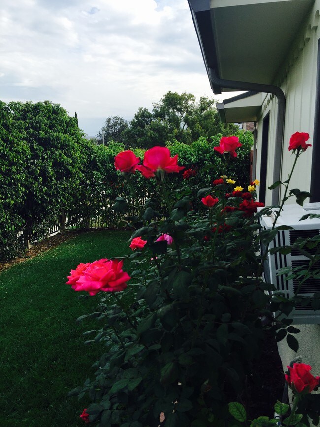 259 N Florence St front yard - 265 N Florence St Unit 265 N Florence St.