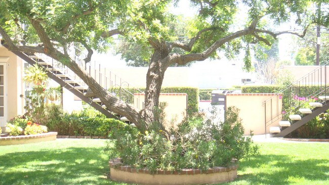 Photo - Peppertree  Apartments